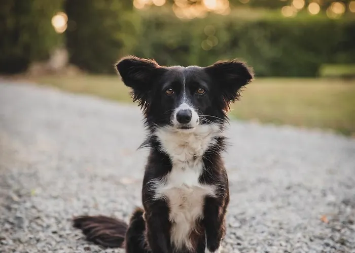 Domaine Des Etoiles Frühstückspension